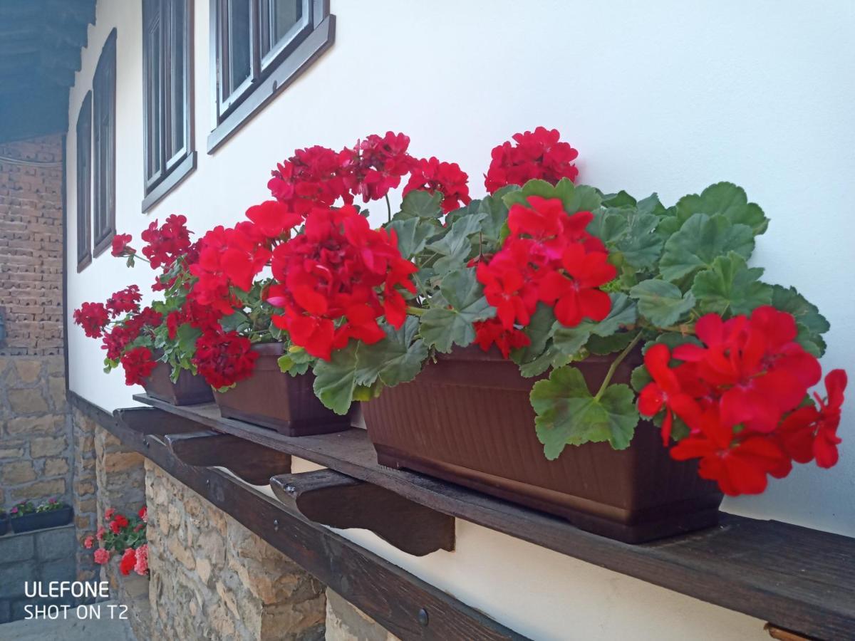 Guest House Strumena Elena Dış mekan fotoğraf